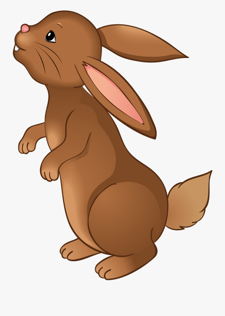 Woodland Clipart Woodsy - Cartoon Brown Rabbit, Transparent Clipart