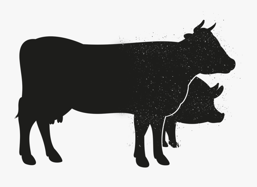 Show Cow Silhouette At Getdrawings - Cattle, Transparent Clipart