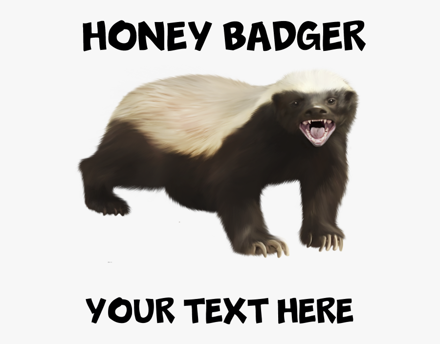 Cat Yawns, Transparent Clipart