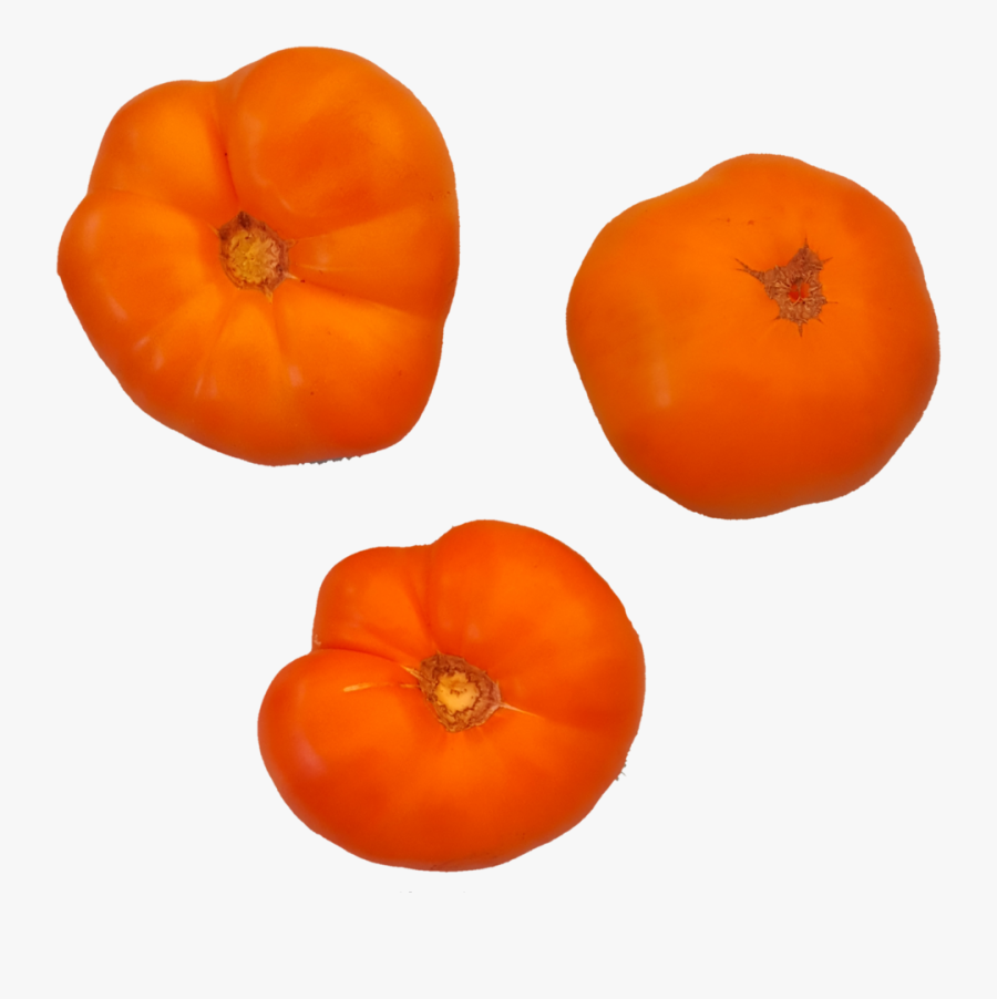 1532382429543 - Tomato, Transparent Clipart