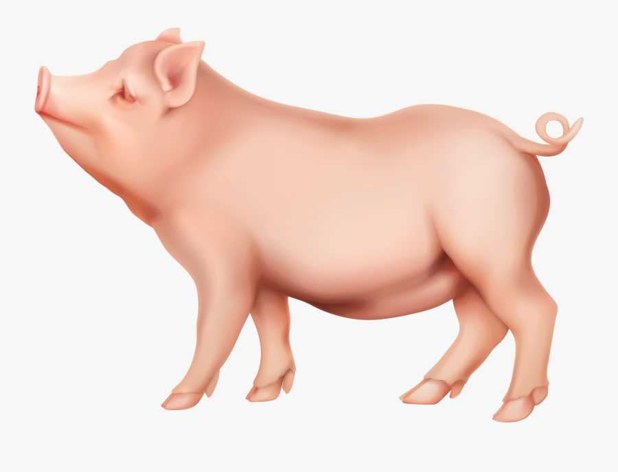 Clip Art Image Gallery - Pig Clip Art Png, Transparent Clipart