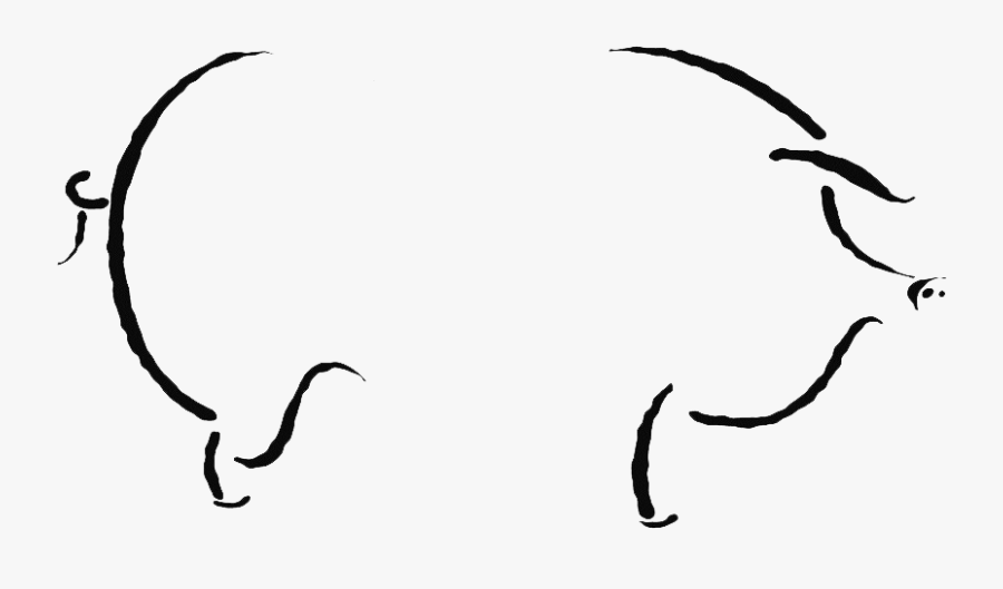Pig Outine Transparent - Hog Roast Clip Art, Transparent Clipart