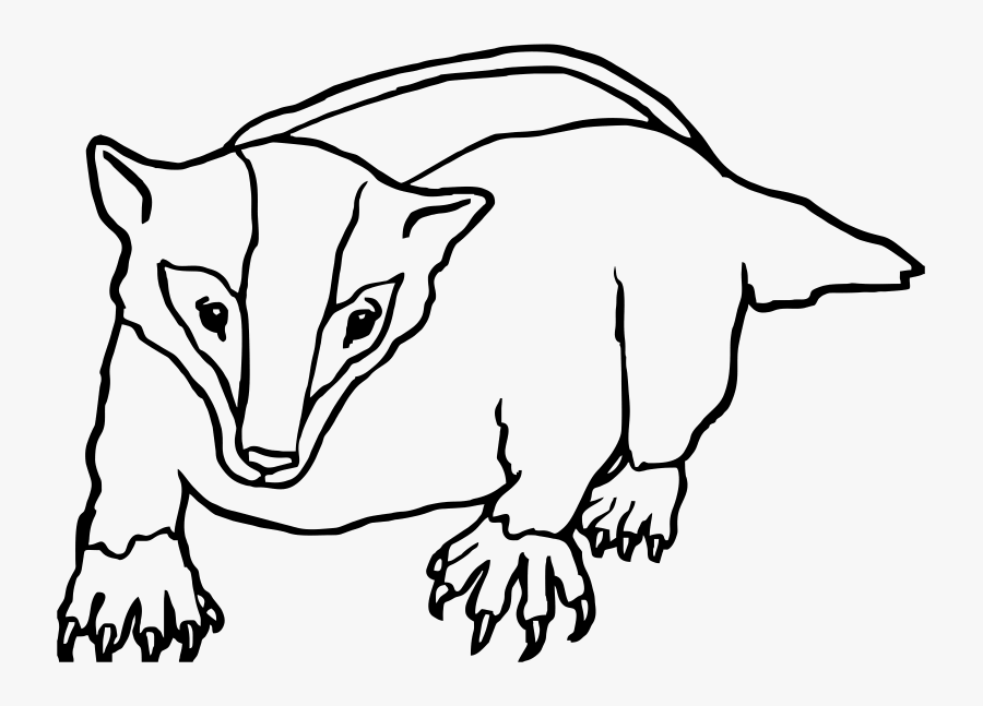 Graphic Royalty Free Badger Clipart White Background - Badger Clipart Black And White, Transparent Clipart