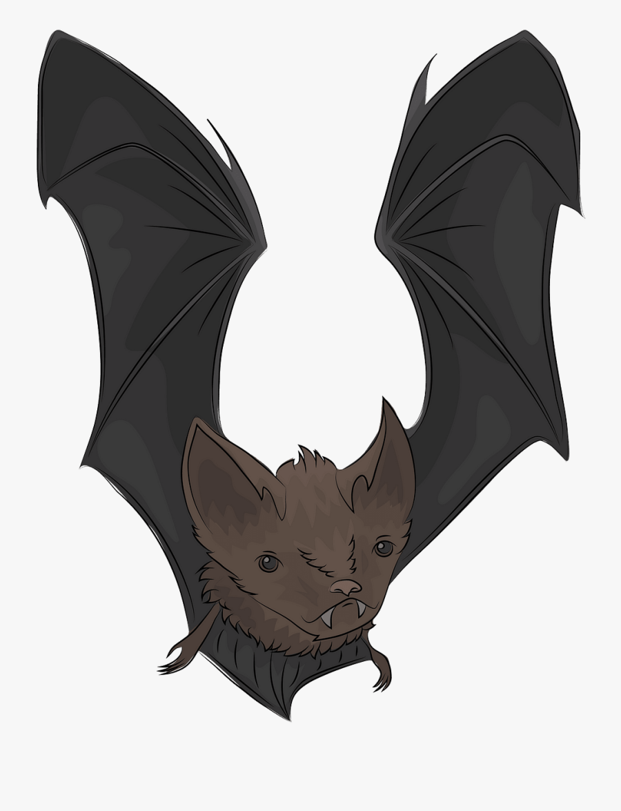 Comma, Transparent Clipart
