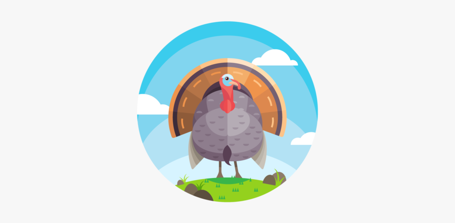 Beautiful Turkey Vector - Illustration, Transparent Clipart