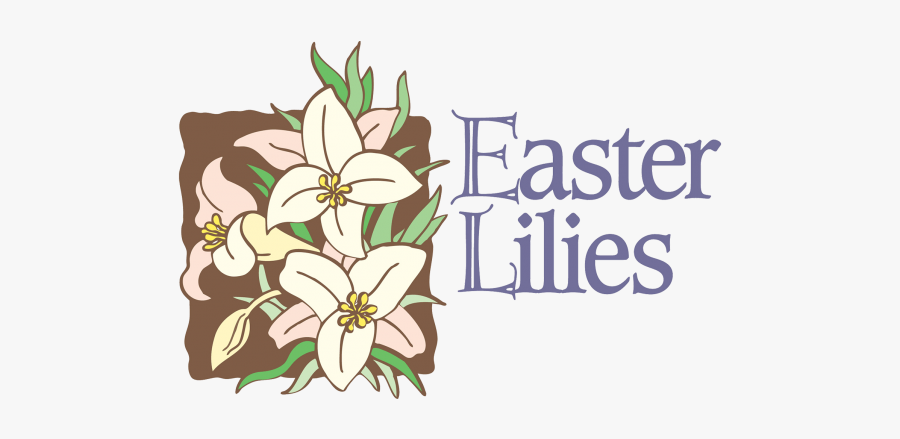 Easter Lilies - Easter Lilies For The Church, Transparent Clipart