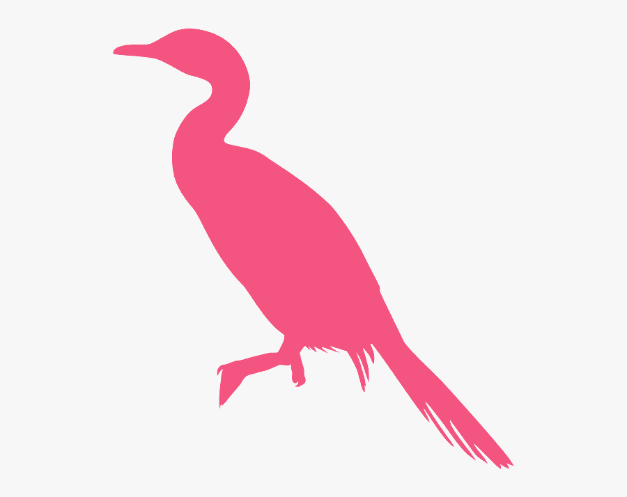 Water Bird, Transparent Clipart