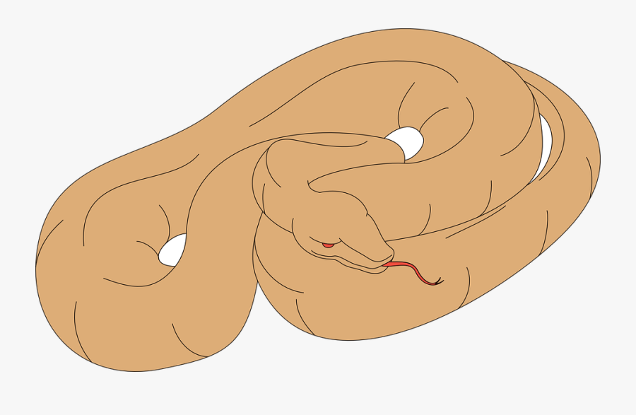 Transparent Snake Clip Art - Snake Sleep Cartoon, Transparent Clipart