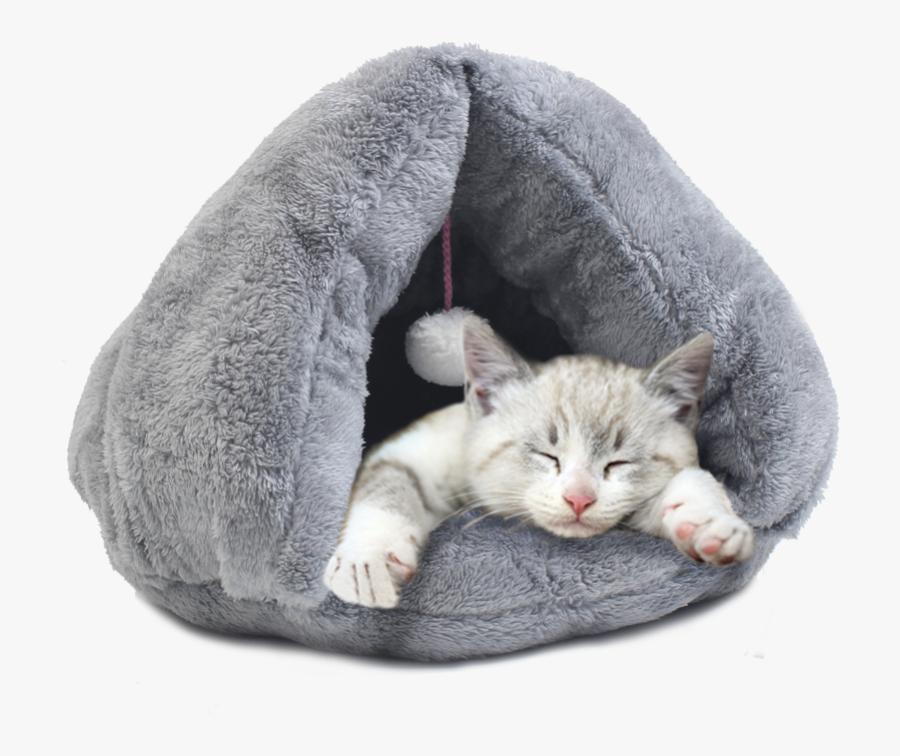 Transparent Gray Cat Png - Sleeping Bag Cat, Transparent Clipart