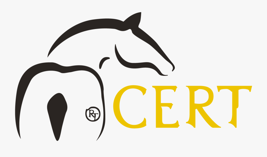 By Offering Riding Lessons, Occupational Therapy, Sales - Rancho Tecate, Transparent Clipart