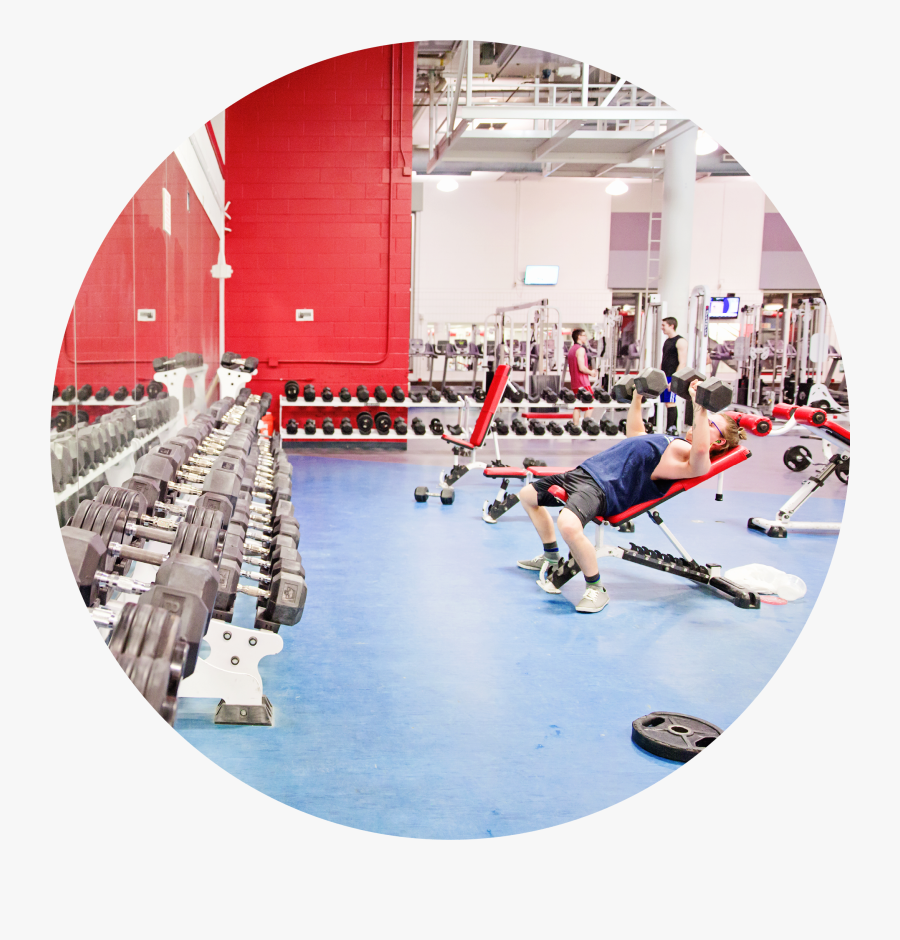 Transparent Student Walking Png - Gym, Transparent Clipart