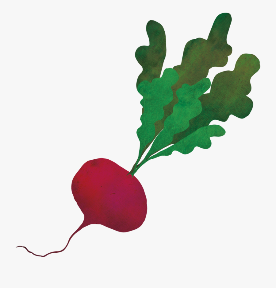 Save To Collection - Radish, Transparent Clipart
