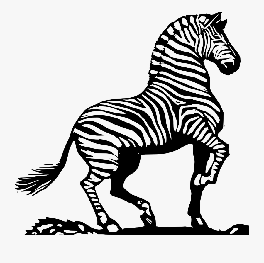Ehlers Danlos Evaluation Ct Center For Craniosacral - Zebra Clip Art Black And White, Transparent Clipart