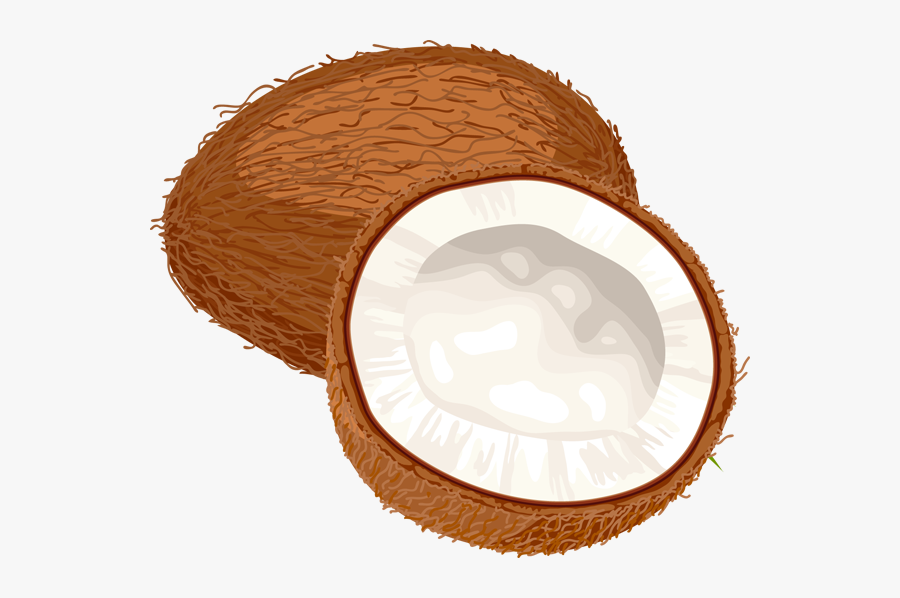 Clip Art Coconut Clipart - Coconut Clip Art Png, Transparent Clipart