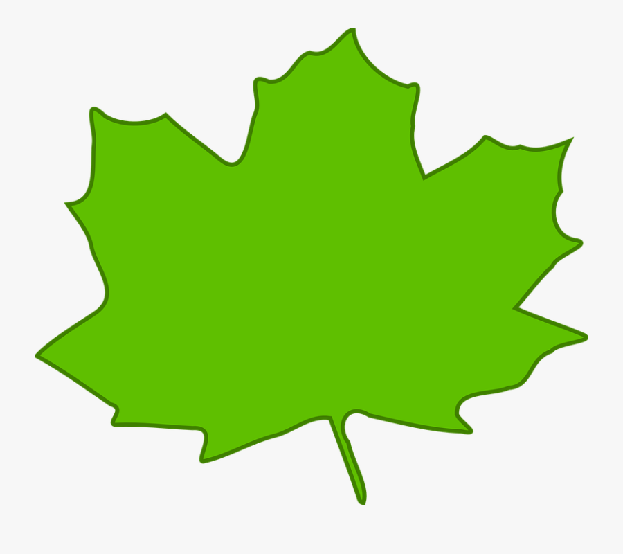 Transparent Thanksgiving Border Png - Orange Fall Leaf Clipart, Transparent Clipart