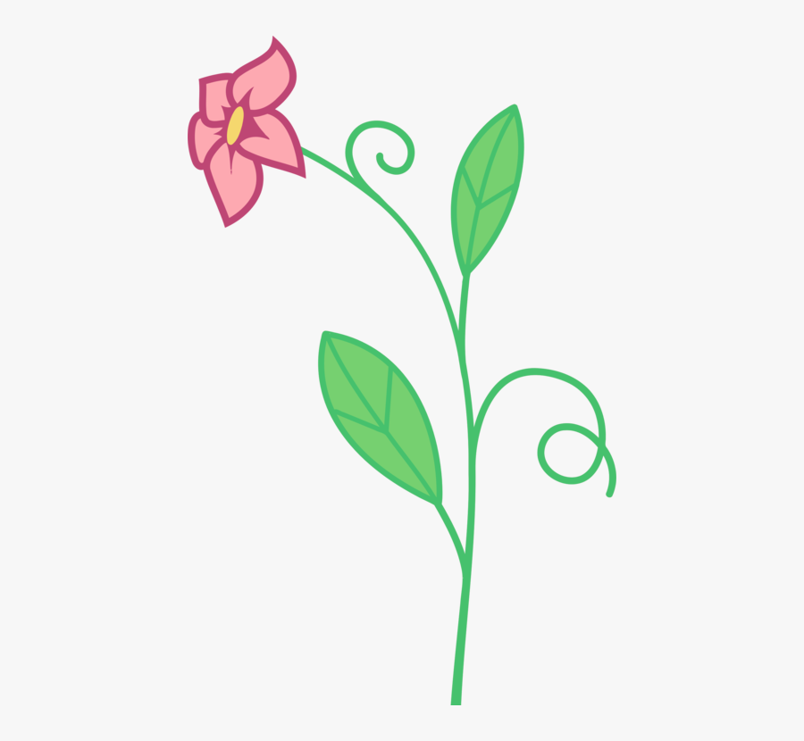 Plant,flora,leaf, Transparent Clipart