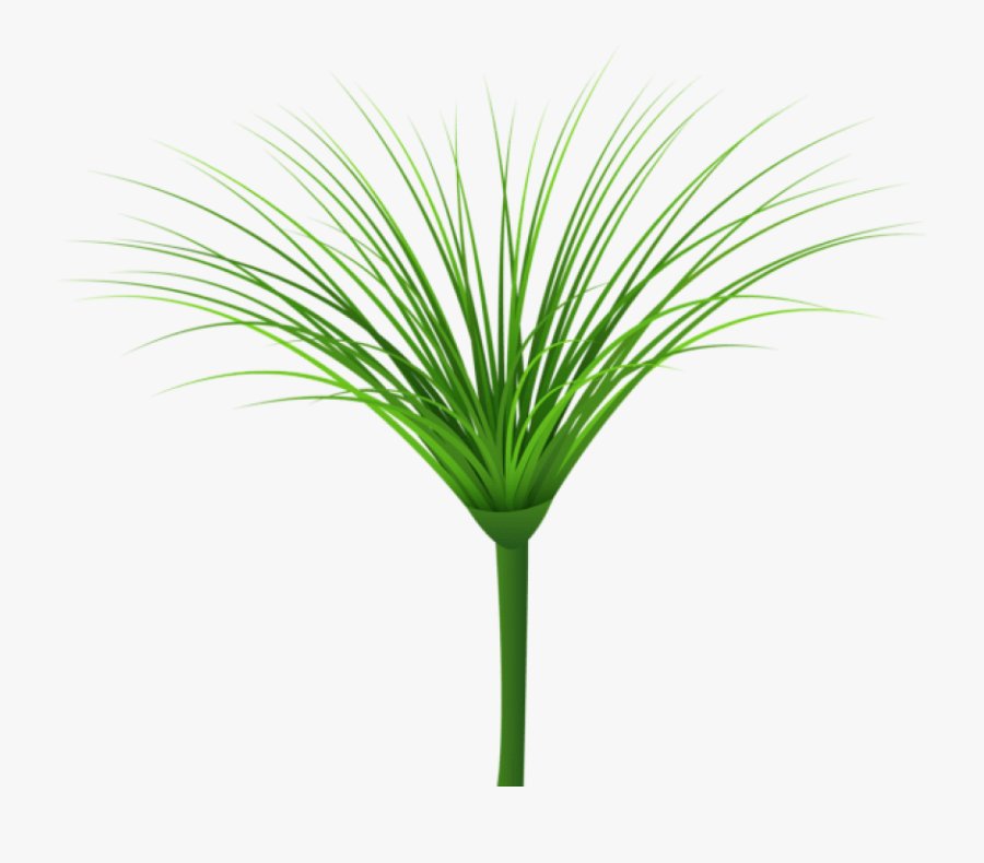 Download Tropical Green Leaf Clipart Png Photo - Tropical Grass Transparent, Transparent Clipart