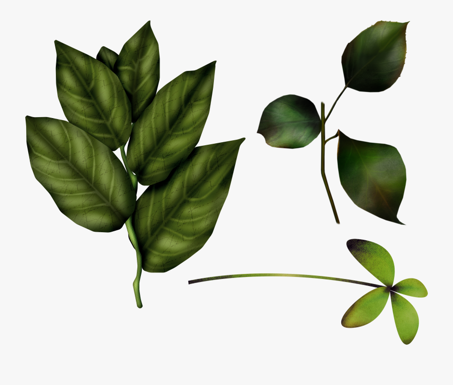 Leaf Clipart Png Img - Baby Winnie The Pooh, Transparent Clipart