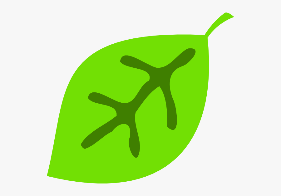 Cute Leaf Clipart, Transparent Clipart