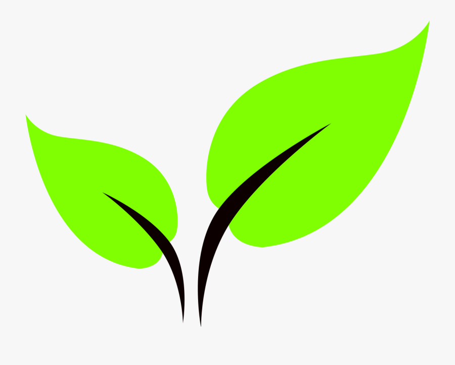Transparent Green Leaf Clipart - Leaf Png Icon, Transparent Clipart