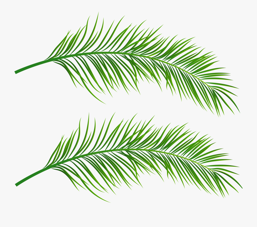 Transparent Clip Art Image - Palm Leaves Clipart Transparent, Transparent Clipart