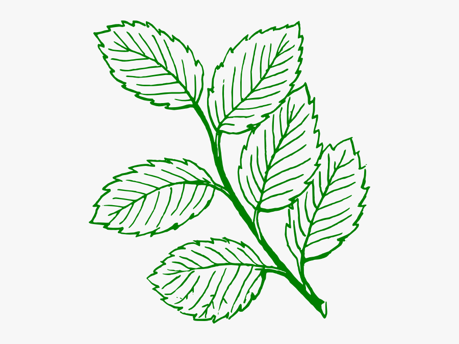 Leaves Clipart Black And White, Transparent Clipart