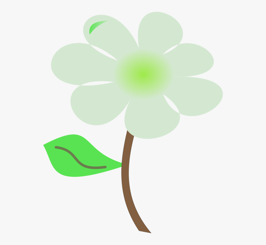 Plant,flora,leaf, Transparent Clipart