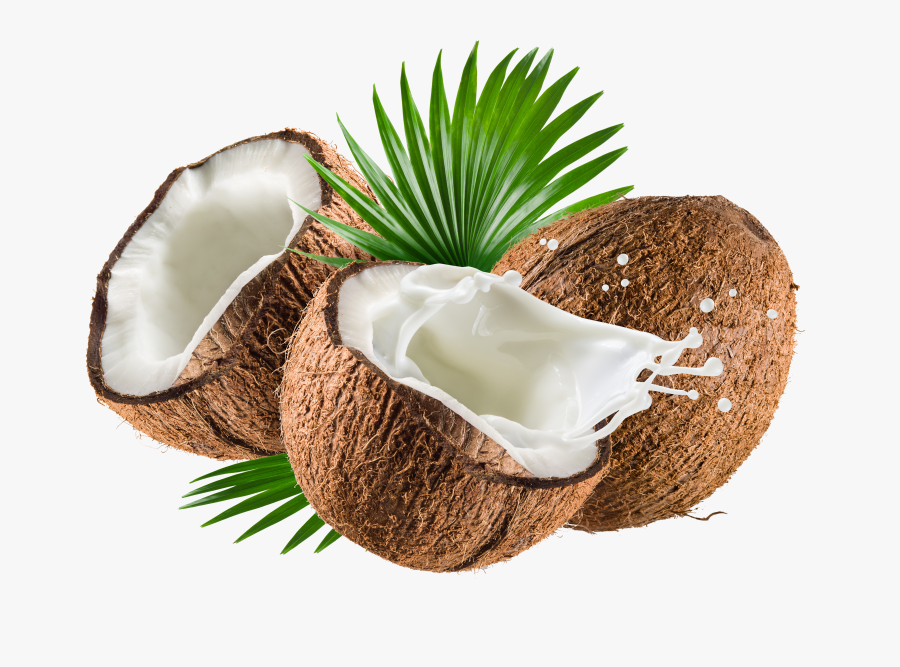 Coconut Oil De Water Coco Nata Milk Clipart, Transparent Clipart