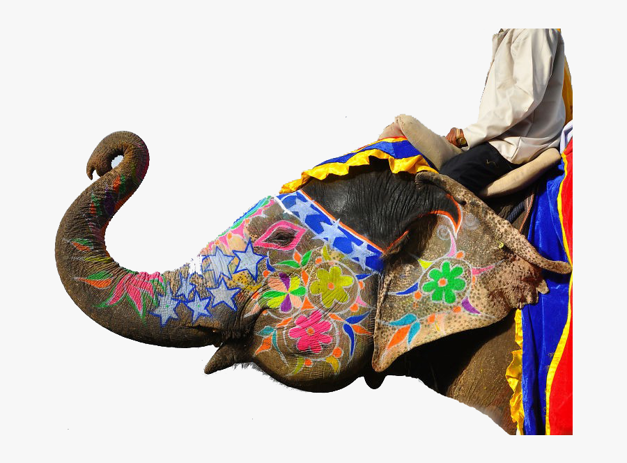 Jaipur Elephant Festival Png Clipart - Indian Elephant, Transparent Clipart