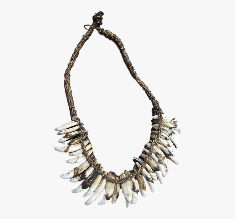 Asmat Dog Tooth - Necklace, Transparent Clipart