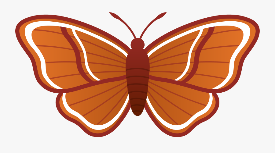 Transparent Background Moth Clipart, Transparent Clipart