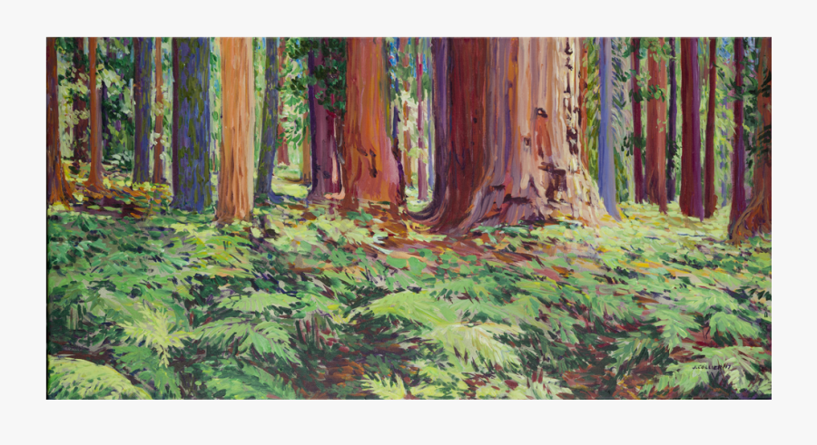 Clip Art Sequoia Kings Canyon National - Old-growth Forest, Transparent Clipart