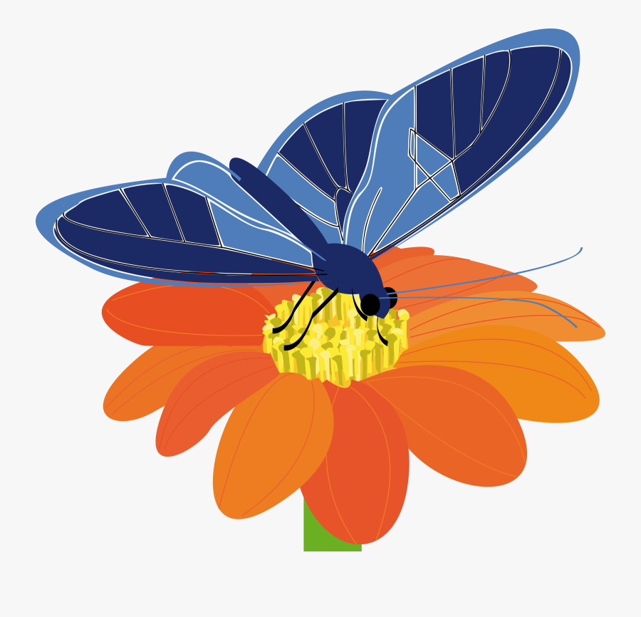 Blue Flower Clipart Big Flower - Butterfly On A Flower Clip Art, Transparent Clipart