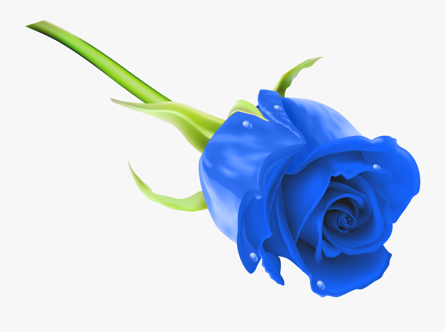 Blue Rose Clipart Royal Blue Flower - Rose Png Images Hd, Transparent Clipart