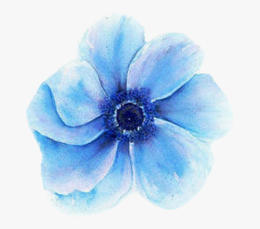 Clipart Png Images Www - Abstract Blue Flower Art, Transparent Clipart