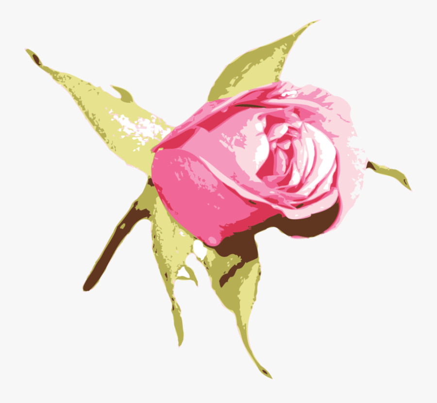Pink,plant,flower - Blue Rosebud Clipart, Transparent Clipart