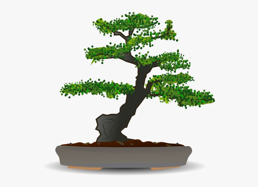 Bonsai Clipart, Transparent Clipart