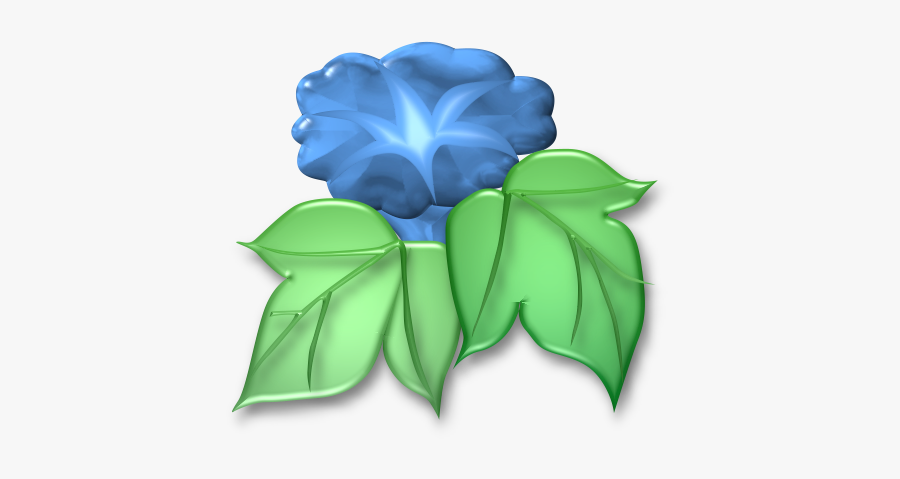 Gentiana, Transparent Clipart