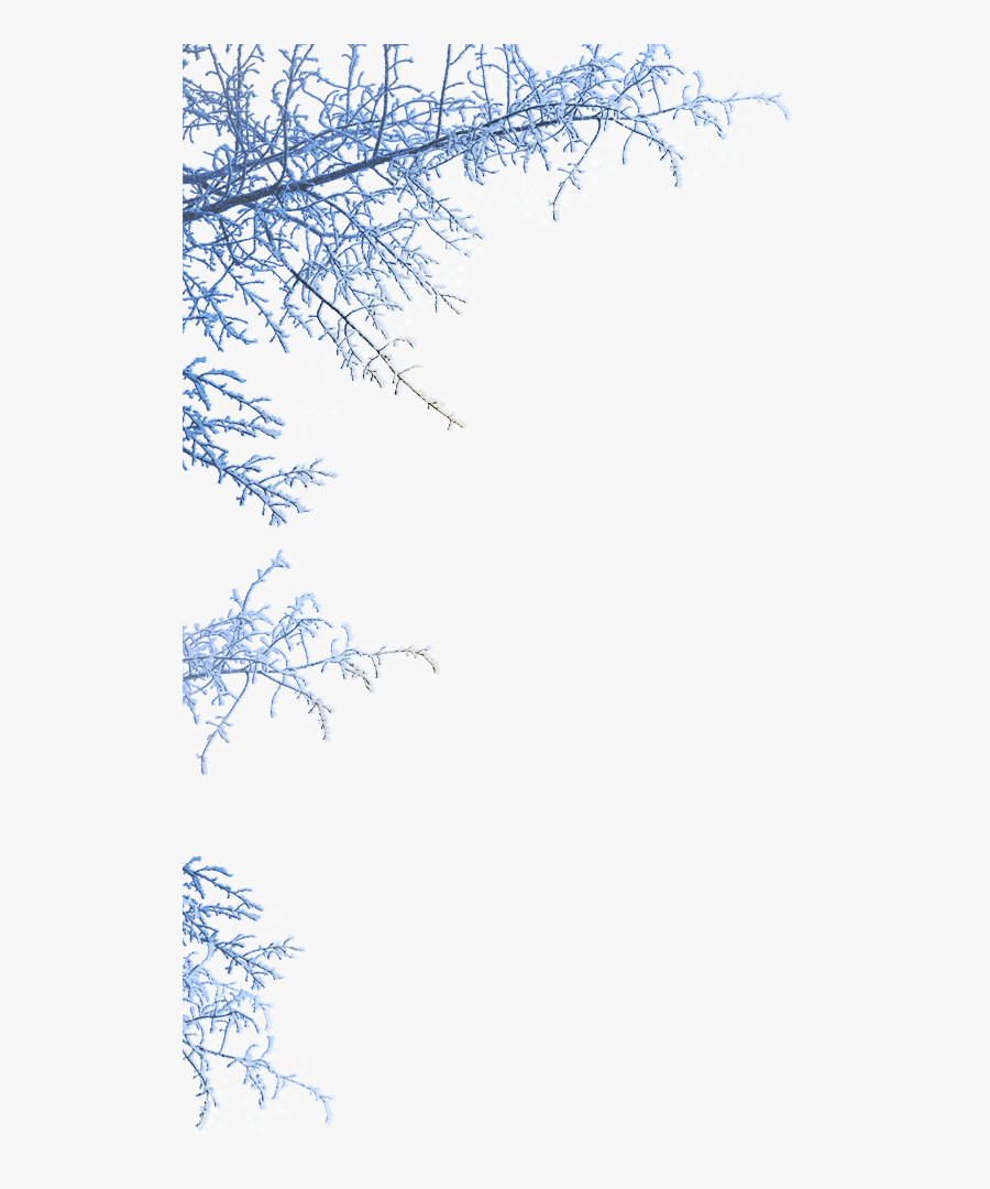 Transparent Winterwonderland Clipart - Winter Wonderland Frame Png, Transparent Clipart