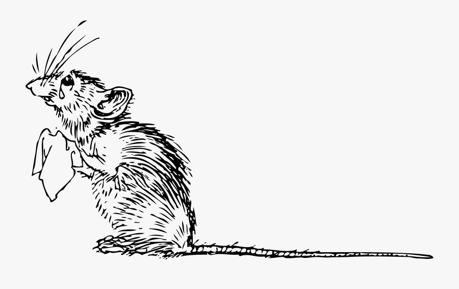 Lighhouse Clipart Mouse - Sad Mouse, Transparent Clipart
