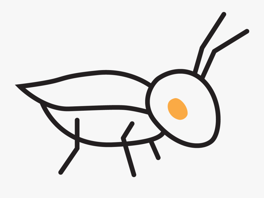 Clip Art Stock Bounce Clipart Spring - Grillo Cartoon, Transparent Clipart