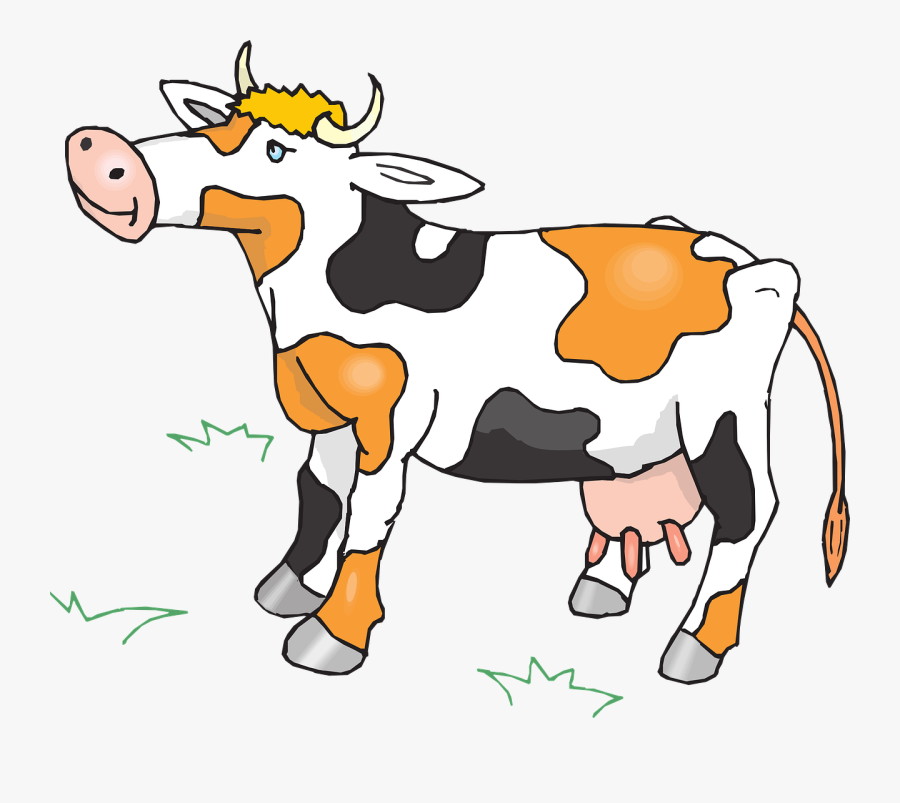 Transparent Cow Udder Clipart - Black And Orange Cow, Transparent Clipart