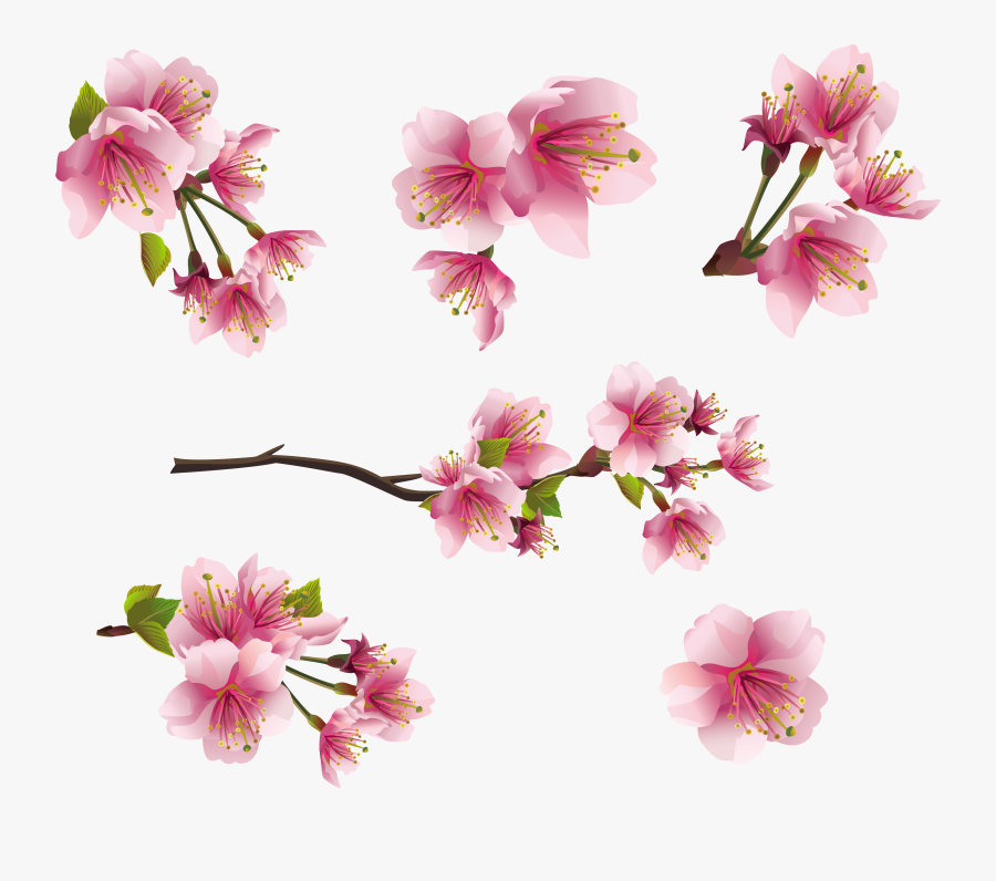 Pics Photos Gallery Free Clipart Picture Spring Png - Png Pink Tree Flowers, Transparent Clipart