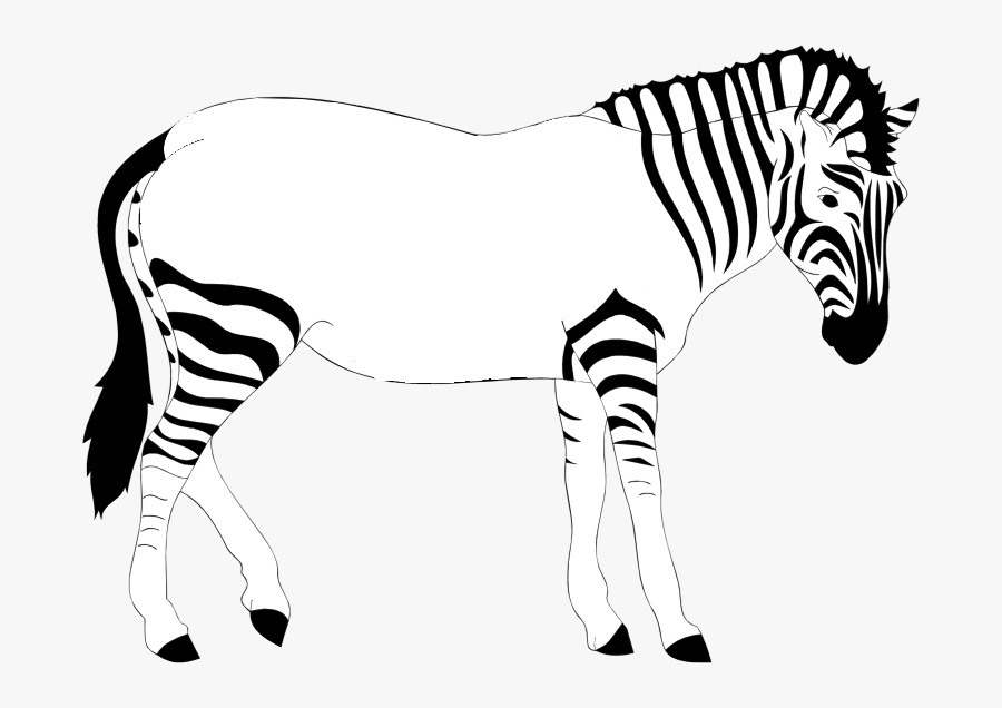 Cartoon Zebra Without Stripes Coloring Pages