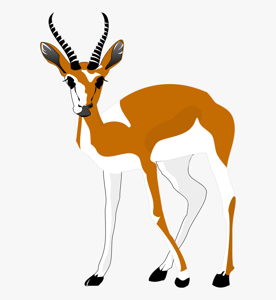 Gazelle Animated Clipart - Clip Art Antelope, Transparent Clipart