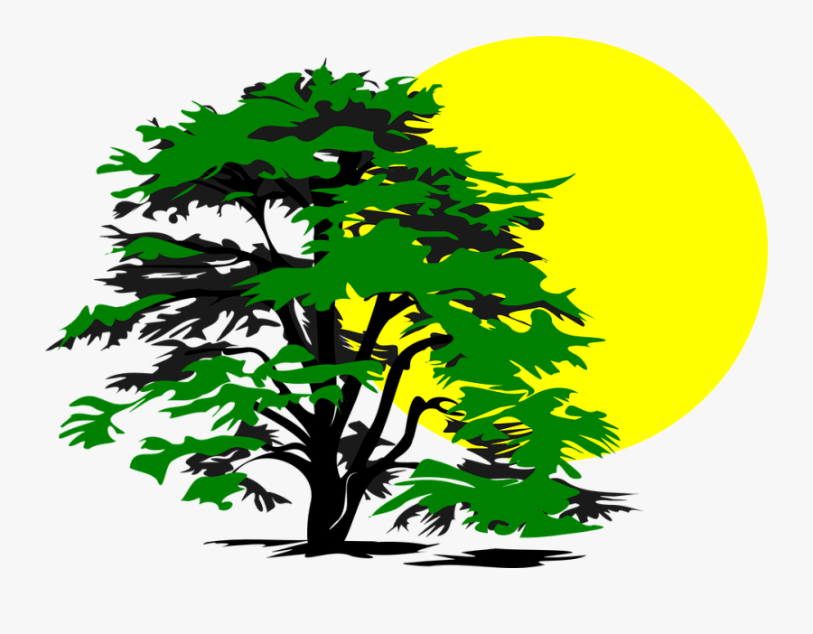 Sun Clipart Green - Free Tree Clipart Black And White Png, Transparent Clipart