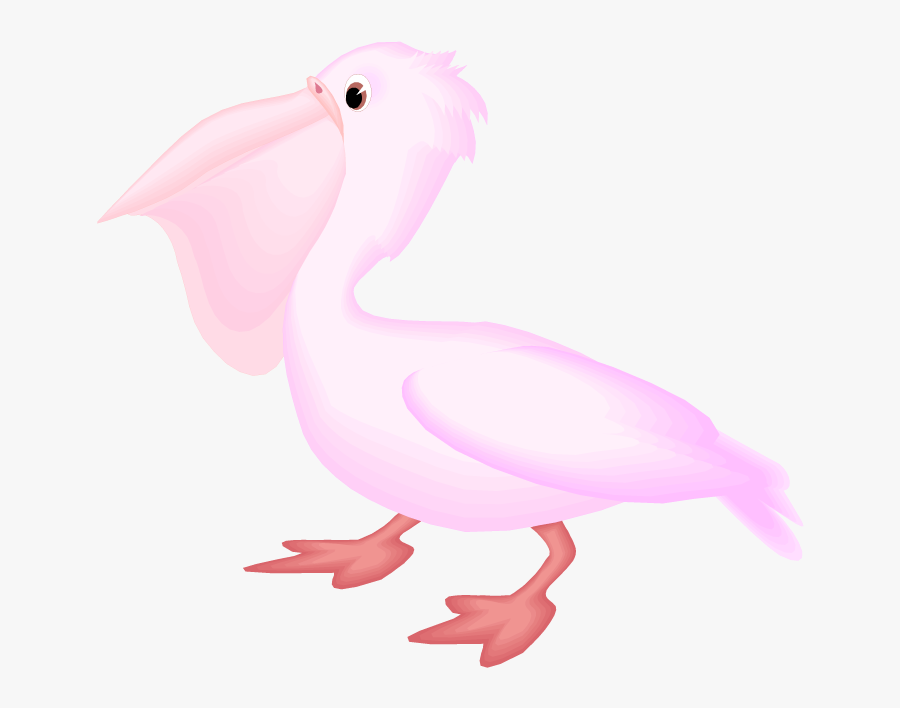 Free Pelican Clipart - Illustration, Transparent Clipart
