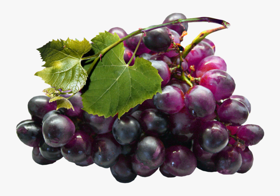 Large Black Grapes Png Clipart - Grape Seed Extract Png, Transparent Clipart