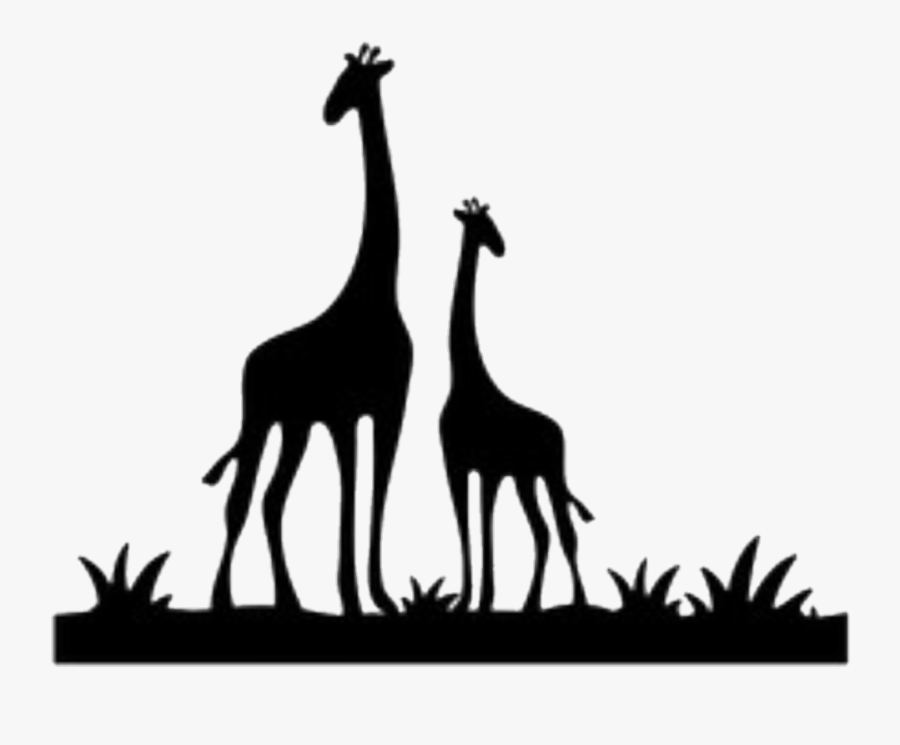 Transparent Safari Border Clipart - Giraffe, Transparent Clipart