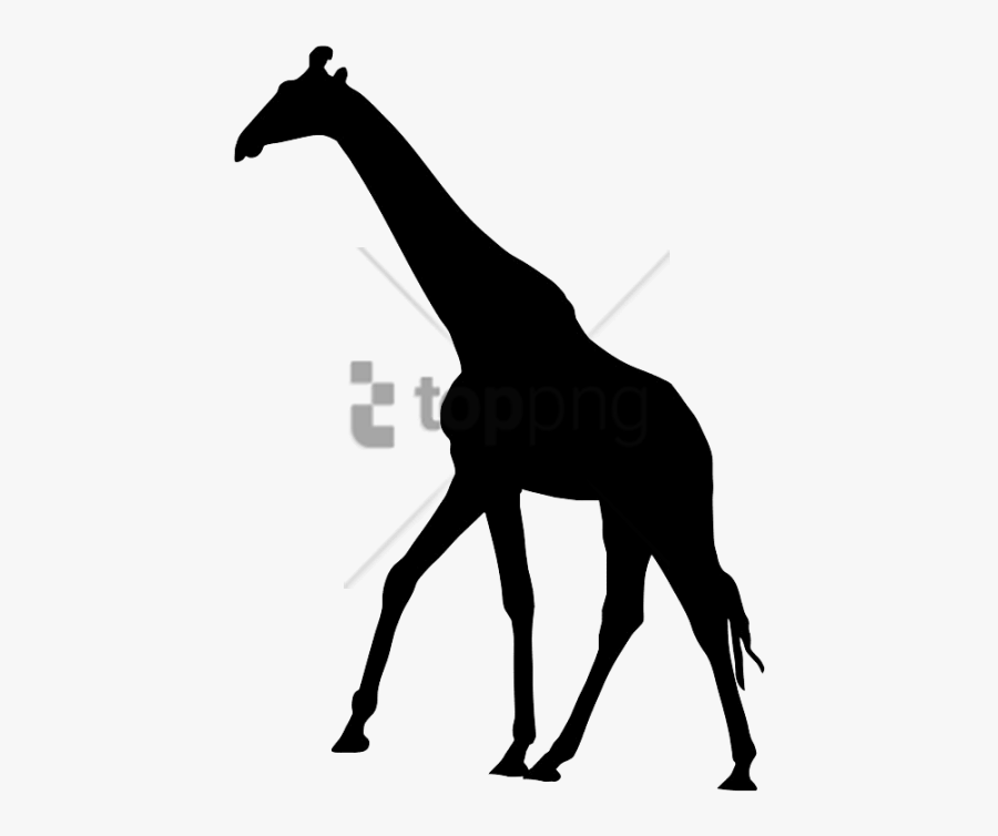 Transparent Giraffes Clipart - Giraffe Silhouette, Transparent Clipart